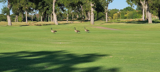 Golf Club «Grand Oaks», reviews and photos, 3502 Country Club Dr, Grand Prairie, TX 75052, USA