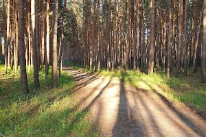 Kayalov Bor - Ekopark image