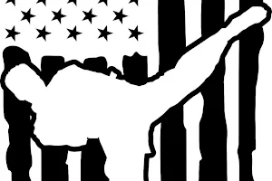 American Hero Martial Arts image