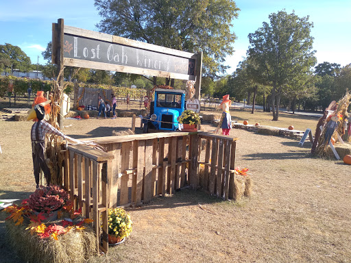 Winery «Lost Oak Winery», reviews and photos, 8101 County Rd 802, Burleson, TX 76028, USA