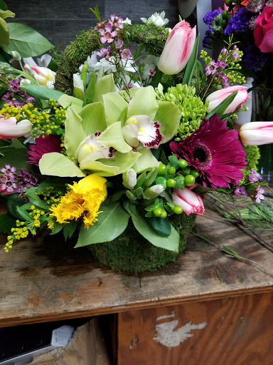 Florist «Fairfield Florist», reviews and photos, 1998 Post Rd, Fairfield, CT 06824, USA