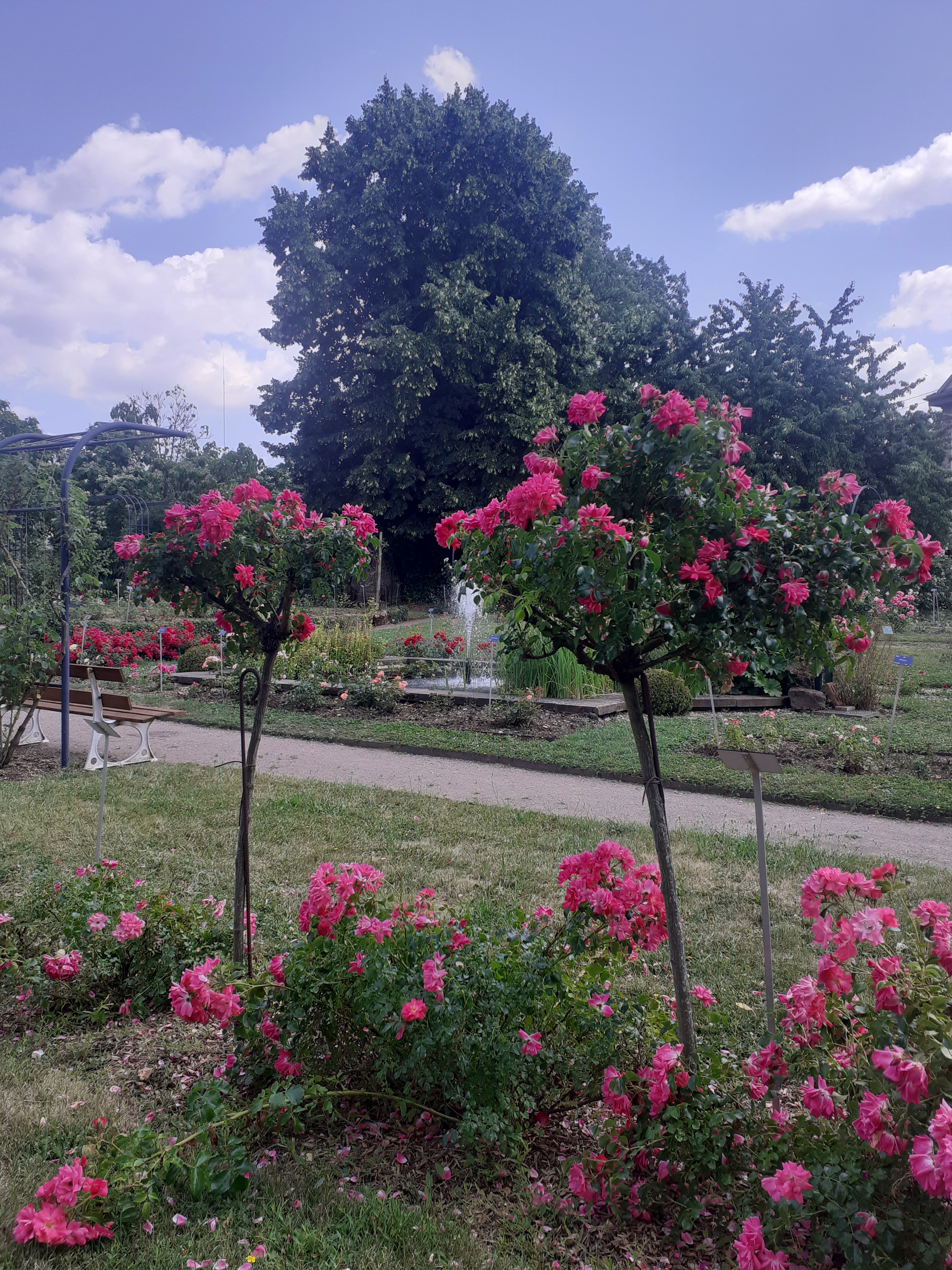 Photo n° 2 de l'avis de francois.a fait le 26/06/2023 à 16:04