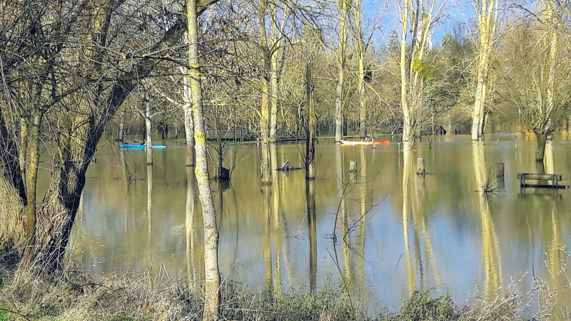 Photo n° 1 de l'avis de Françoise. fait le 08/01/2021 à 10:27