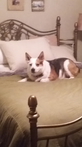 Pet Store «Animal Supply House», reviews and photos, 1025 N Anderson Rd, Rock Hill, SC 29730, USA