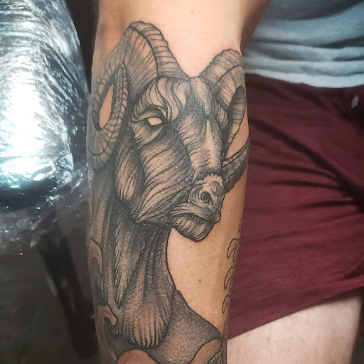 Explore elephant tattoo ideas, creative tattoo ideas in Lagrangeville, available at Black Cherry Tattoo Studio NY