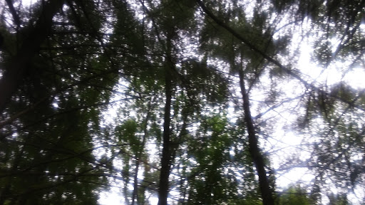 Public Golf Course «Mohansic Golf Course», reviews and photos, 1500 Baldwin Rd, Yorktown Heights, NY 10598, USA