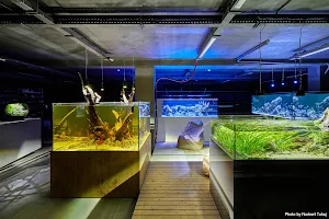 Aquariums | Manufacturing | installation | supervision image