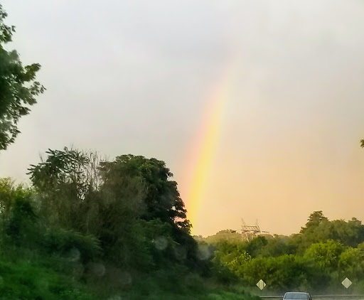 Nature Preserve «Sadsbury Woods Preserve», reviews and photos, Ramblewood Dr & Northwood Dr, Coatesville, PA 19320, USA