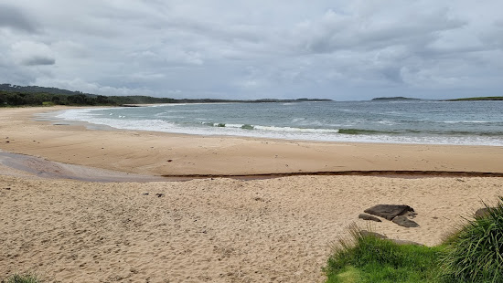 Kioloa Beach