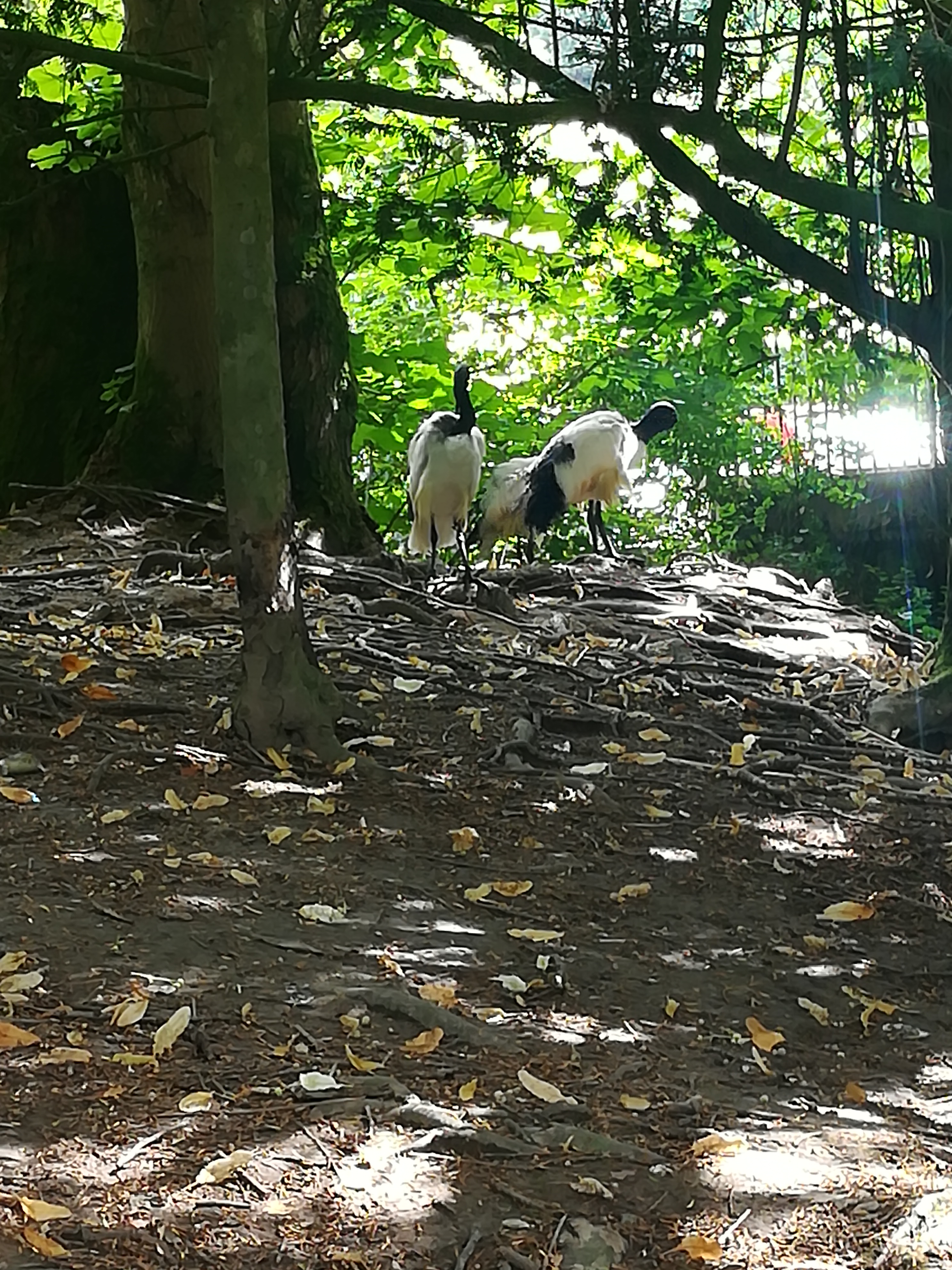 Photo n° 6 de l'avis de Christophe.A fait le 26/07/2020 à 19:03