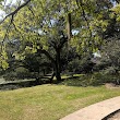 BREC Laurens Henry Cohn, Senior Memorial Plant Arboretum