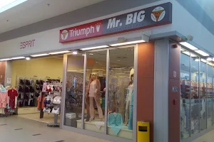 Mr. Big fehérnemű bolt image