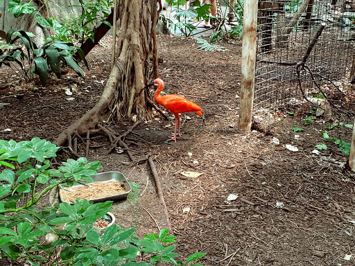 Zoo «Miller Park Zoo», reviews and photos, 1020 S Morris Ave, Bloomington, IL 61701, USA