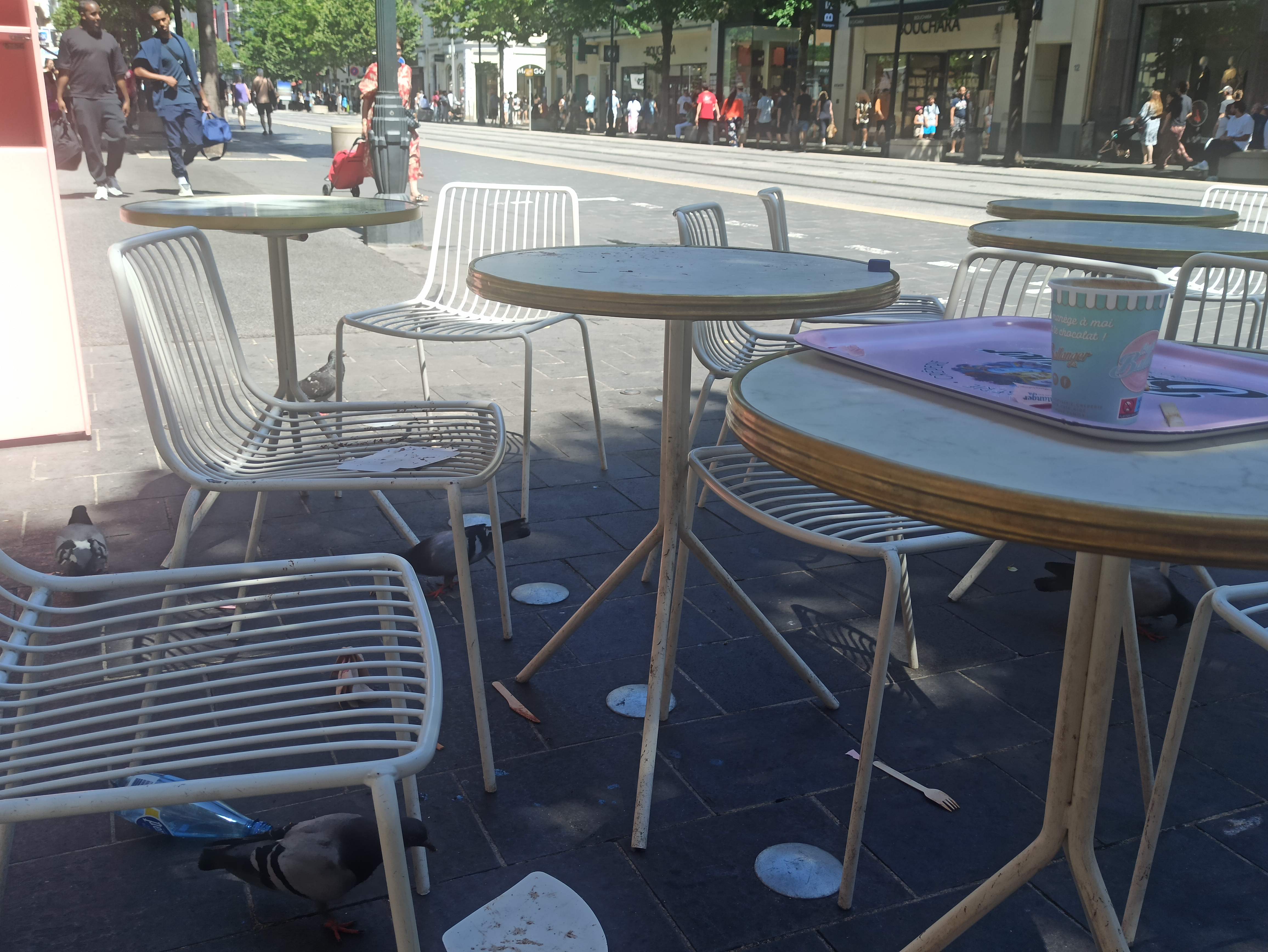 Photo n° 2 de l'avis de Violaine.e fait le 30/07/2023 à 10:41