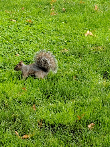 Convention Center «MassMutual Center», reviews and photos, 1277 Main St, Springfield, MA 01103, USA