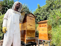 San Diego Bee Sanctuary - Photo 2 - Car repair in San Diego, CA, San Diego