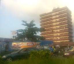 New Beginings Books International photo