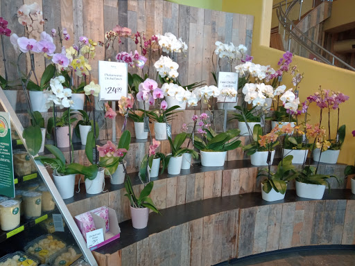 Shopping Mall «Preston Forest Shopping Center», reviews and photos, Preston Rd & Forest Lane, Dallas, TX 75230, USA