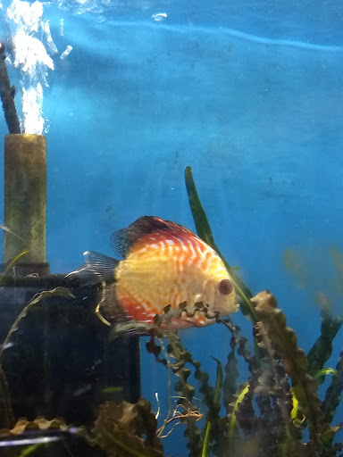 Pet Store «The Pet Works», reviews and photos, 407 4th Ave E, Olympia, WA 98501, USA