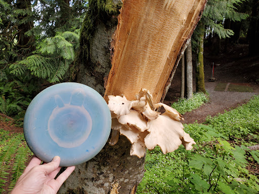 Golf Course «Kayak Point Golf Course», reviews and photos, 15711 Marine Drive NE, Stanwood, WA 98292, USA