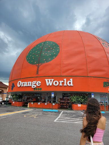 Eli’s Orange World