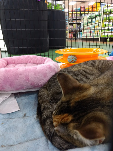 Pet Supply Store «Pet Supermarket», reviews and photos, 1629 Perry Hill Rd, Montgomery, AL 36106, USA