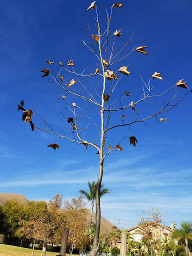 Park «Borrego Canyon Overlook Park», reviews and photos, 21 Viaggio Ln, Foothill Ranch, CA 92610, USA