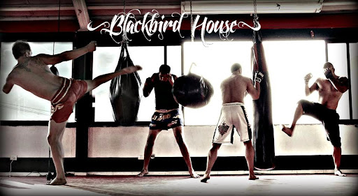 Blackbird House MMA