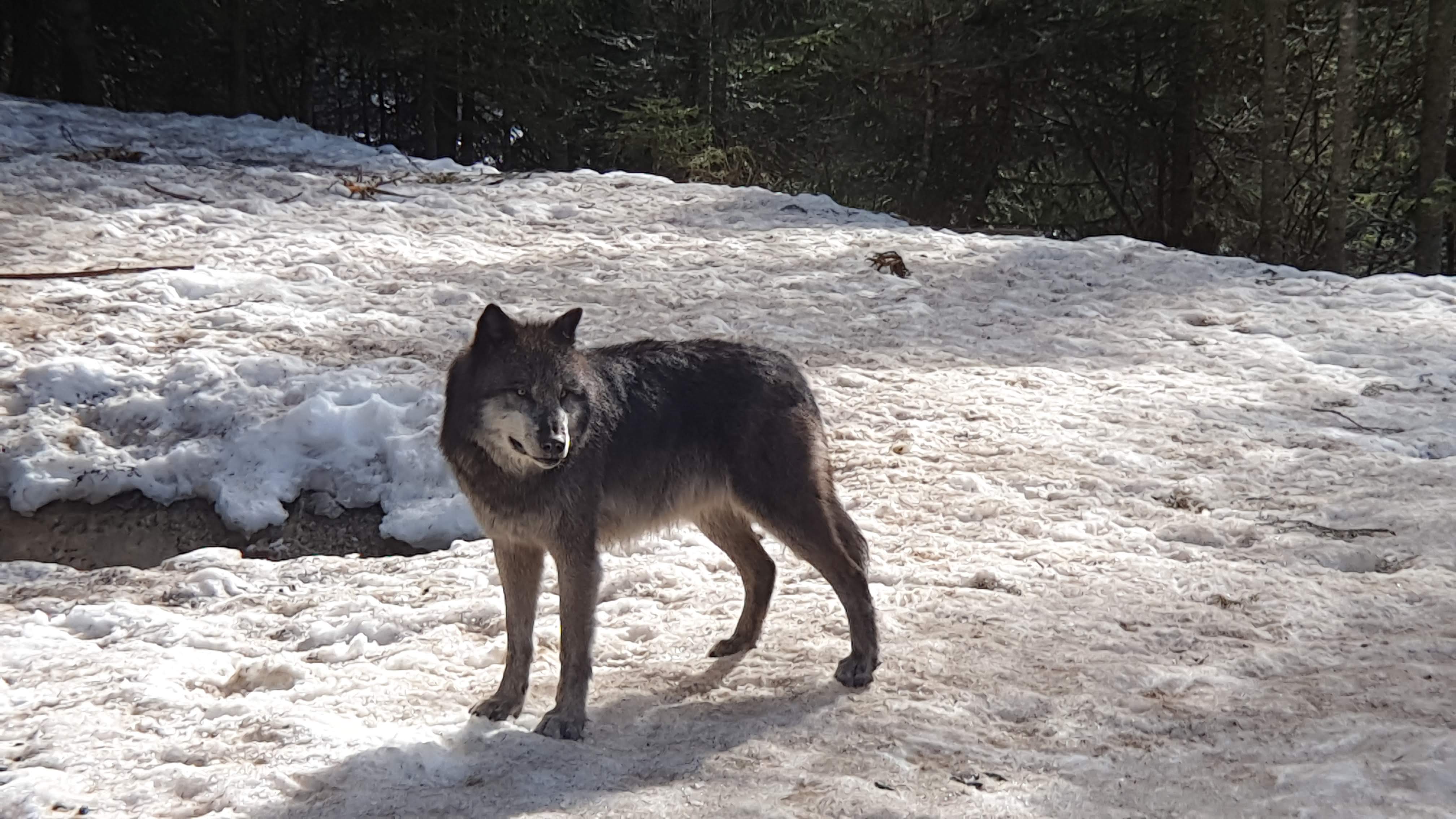 Photo n° 2 de l'avis de Chris.. fait le 11/03/2019 à 16:05