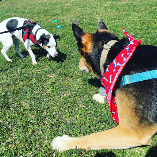 Park «Horner Park», reviews and photos, 2741 W Montrose Ave, Chicago, IL 60618, USA