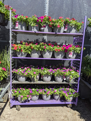 Home Improvement Store «The Home Depot», reviews and photos, 782 PA-113, Souderton, PA 18964, USA