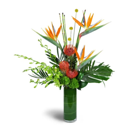 Florist «J E Flower Shop», reviews and photos, 141 Broad St, New Britain, CT 06053, USA