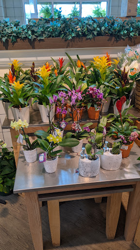 Supermarket «Ingles Market», reviews and photos, 199 E Louise Dr, Clarkesville, GA 30523, USA