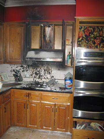 Carpet Cleaning Service «Bishop Clean Care, Valdosta», reviews and photos, 3115 N Oak Street Extension, Valdosta, GA 31602, USA