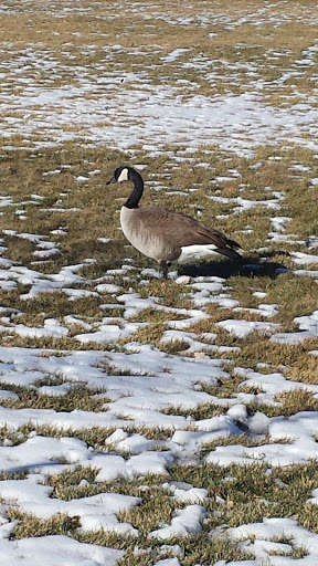 Park «Del Mar Park», reviews and photos, 12000 E 6th Ave, Aurora, CO 80010, USA