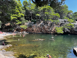 Mrtvo More Beach'in fotoğrafı kirli temizlik seviyesi ile