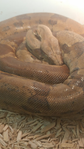 Pet Store «Pet Planet», reviews and photos, 11968 S Redwood Rd, Riverton, UT 84065, USA