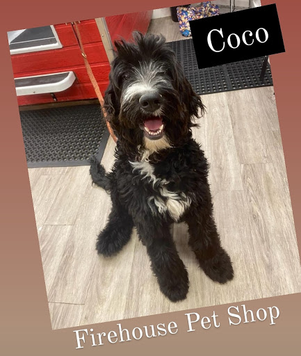 Pet Store «Firehouse Pet Shop & Grooming», reviews and photos, 17 S Wenatchee Ave, Wenatchee, WA 98801, USA