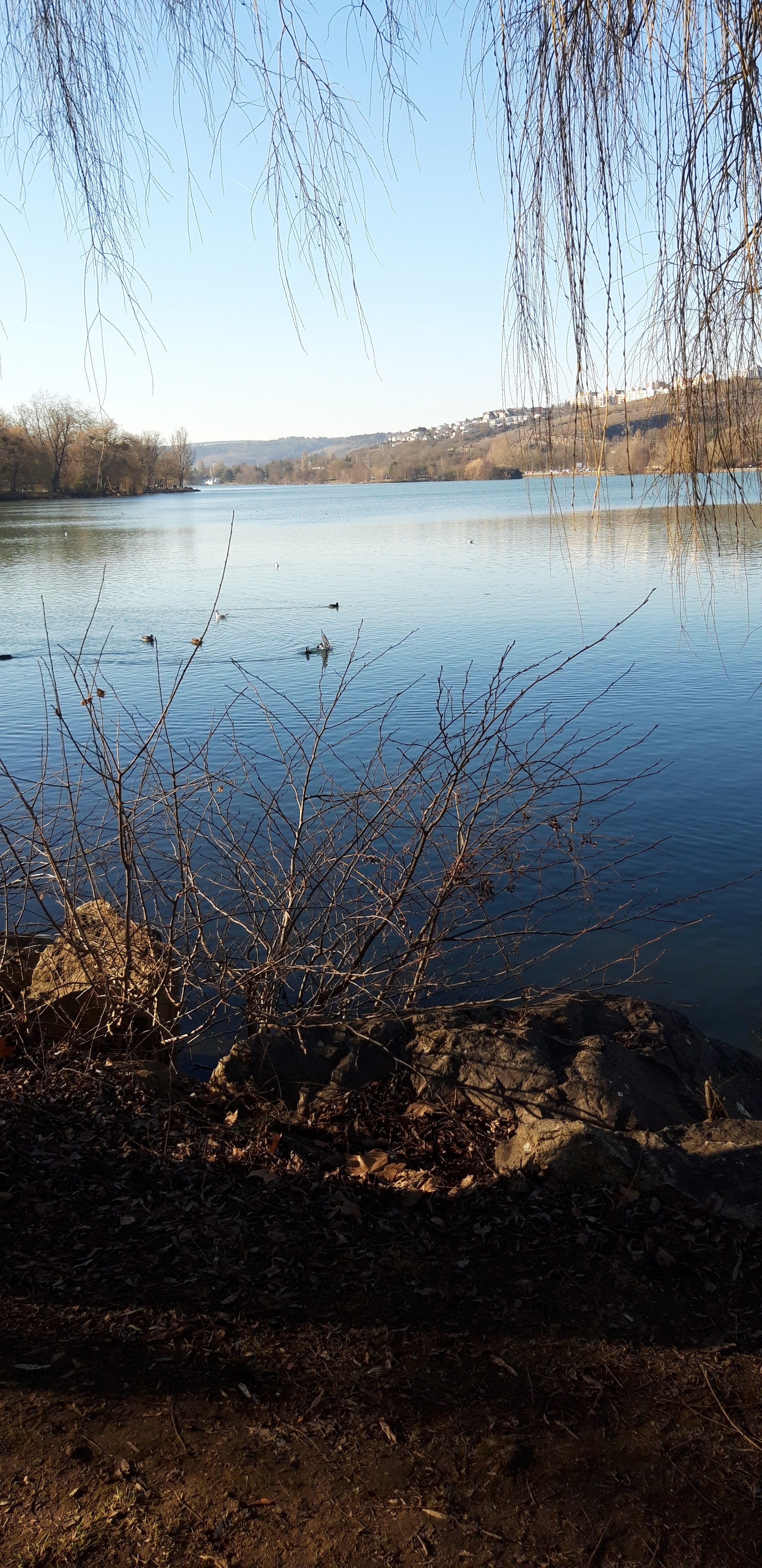 Photo n° 5 de l'avis de Lord.r fait le 29/01/2019 à 16:16