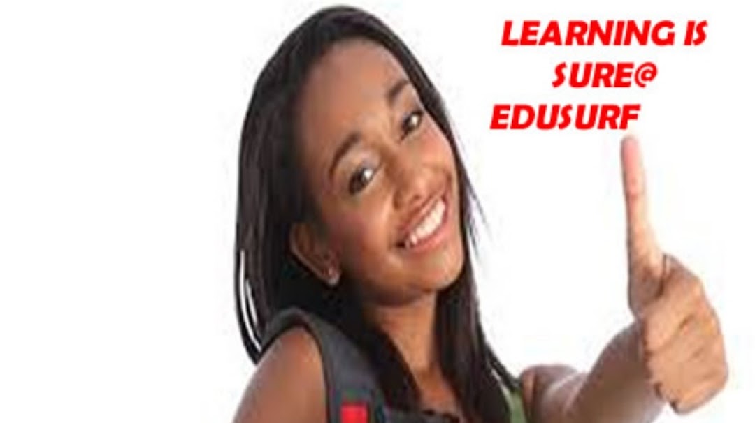 EDUSURF EDUCATIONAL CONSULTANCY SERVICES NIG LTD