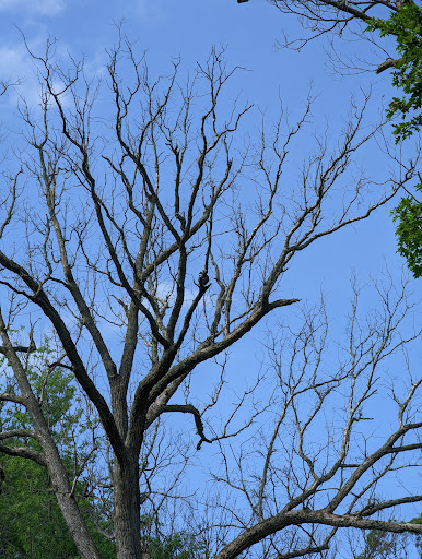 Nature Preserve «Captain Daniel Wright Woods Forest Preserve», reviews and photos, 24830 N St Marys Rd, Mettawa, IL 60045, USA