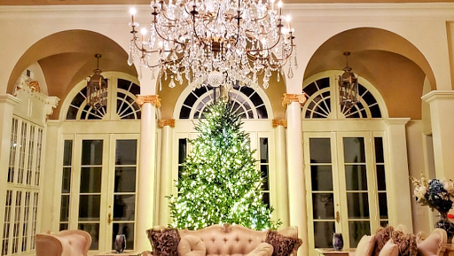 Tradition Trees (Druid Hills)