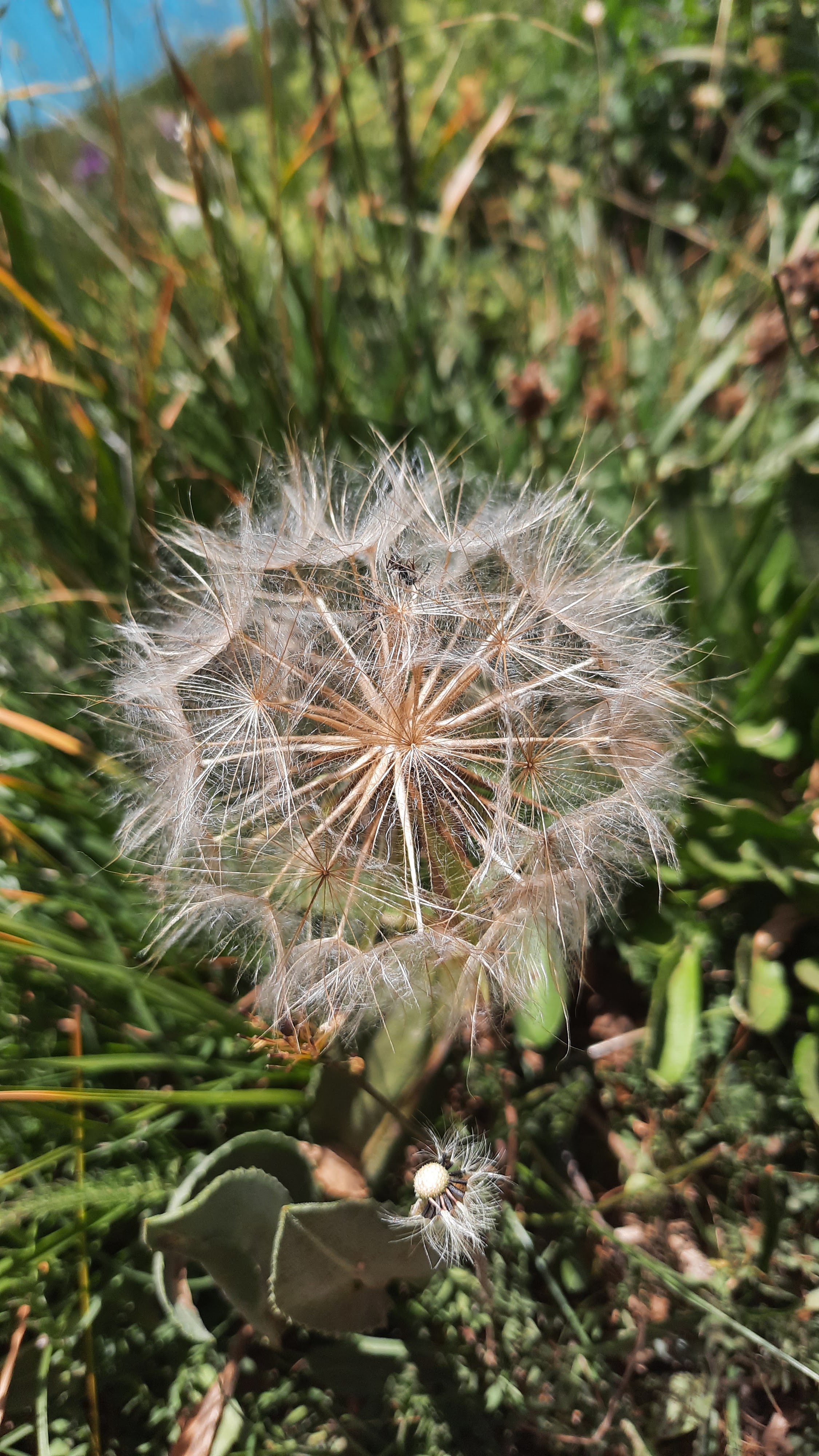 Photo n° 5 de l'avis de Prénom.o fait le 26/07/2022 à 18:58