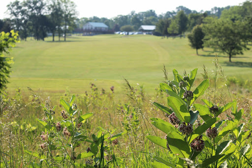 Public Golf Course «Parkview Fairways Golf Course», reviews and photos, 7100 Boughton Rd, Victor, NY 14564, USA