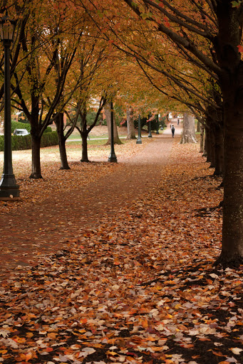 Pet Supply Store «Pet Supplies Plus», reviews and photos, 1240 Seminole Trail, Charlottesville, VA 22901, USA