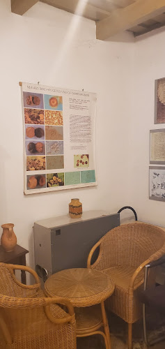 Hozzászólások és értékelések az Szarvasgomba Múzeum-ról