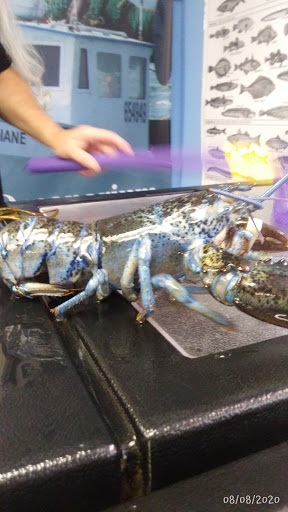 Aquarium «Explore the Ocean World, llc Oceanarium», reviews and photos, 367 Ocean Blvd, Hampton, NH 03842, USA