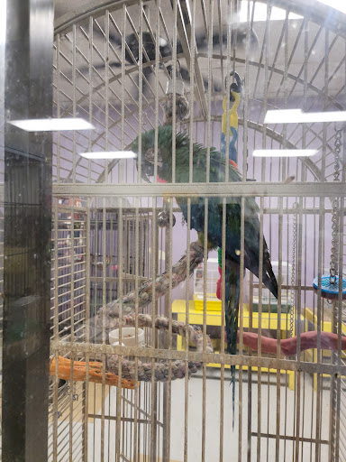 Pet Store «Animart Pets», reviews and photos, 2813 Veterans Memorial Hwy SW, Austell, GA 30168, USA