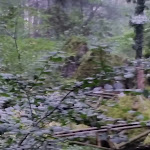 Photo n°20 de l'avis de Fabio.o fait le 13/09/2018 à 20:26 sur le  Tannenhof à Sasbachwalden