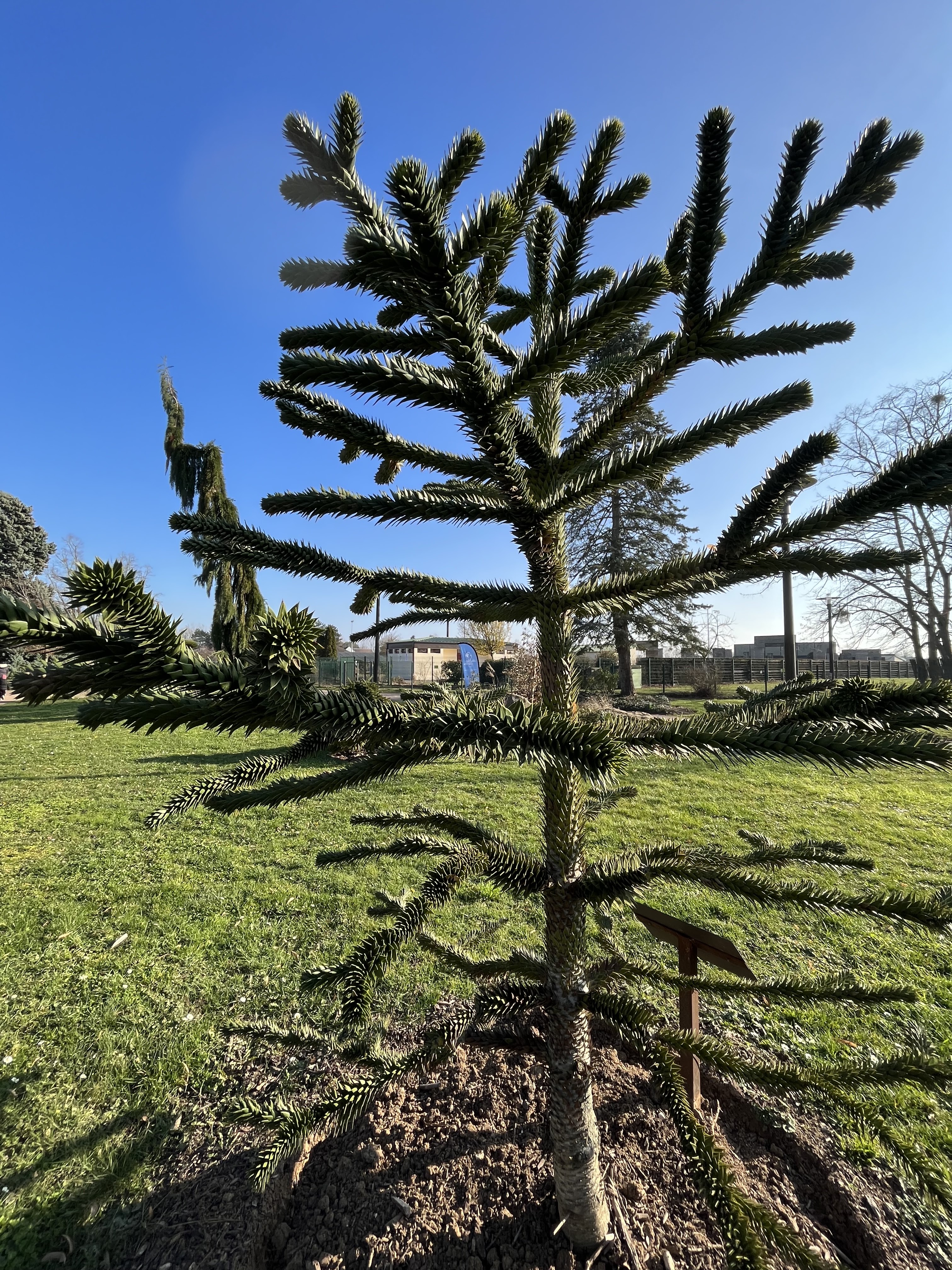Photo n° 1 de l'avis de 19.6 fait le 21/02/2023 à 17:48